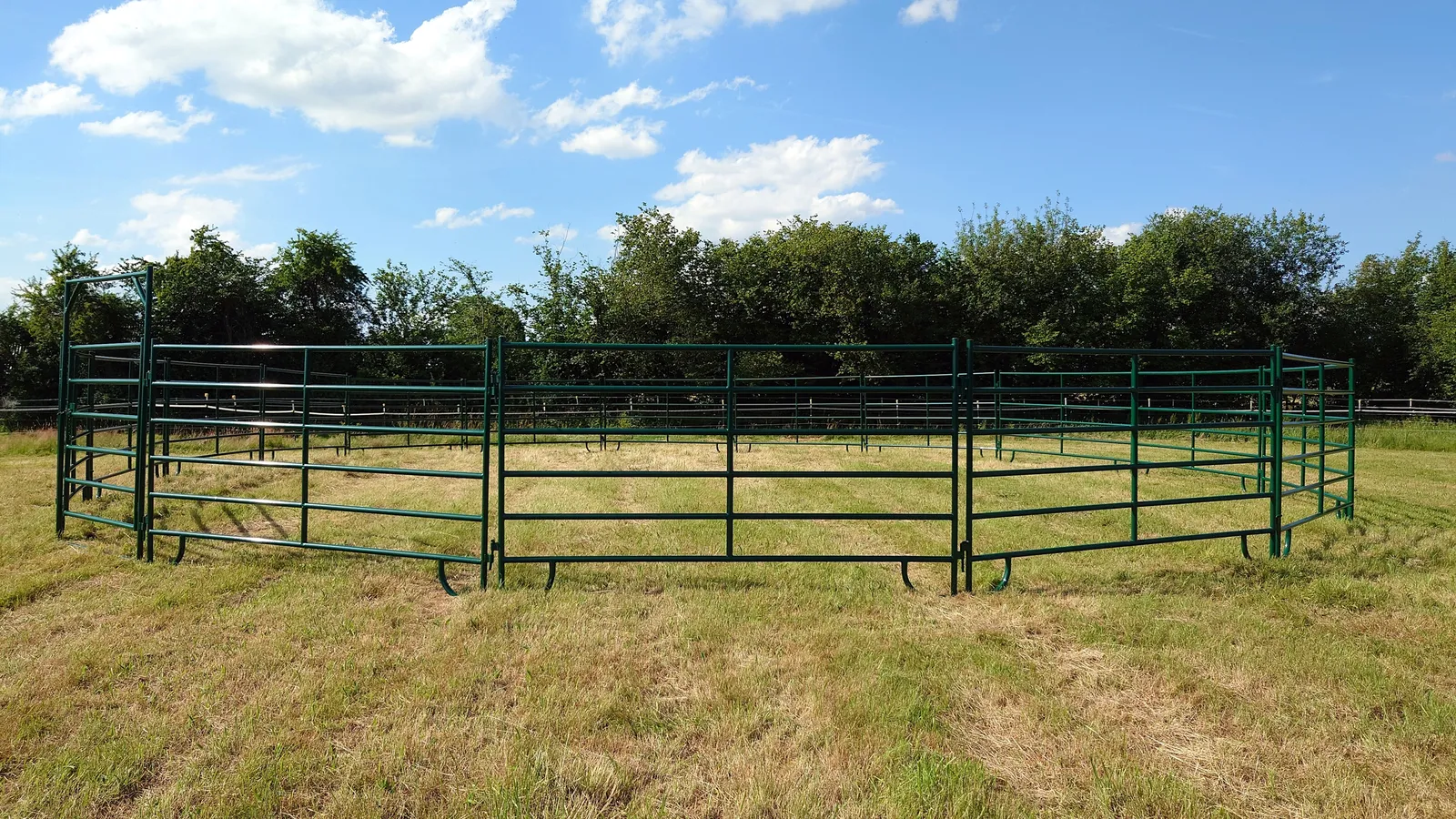 Grüner Roundpen mit Tor – Weidepanels Grüner Roundpen mit Tor, Weidepanels aneinandergereiht zu einem stabilen Longierzirkel