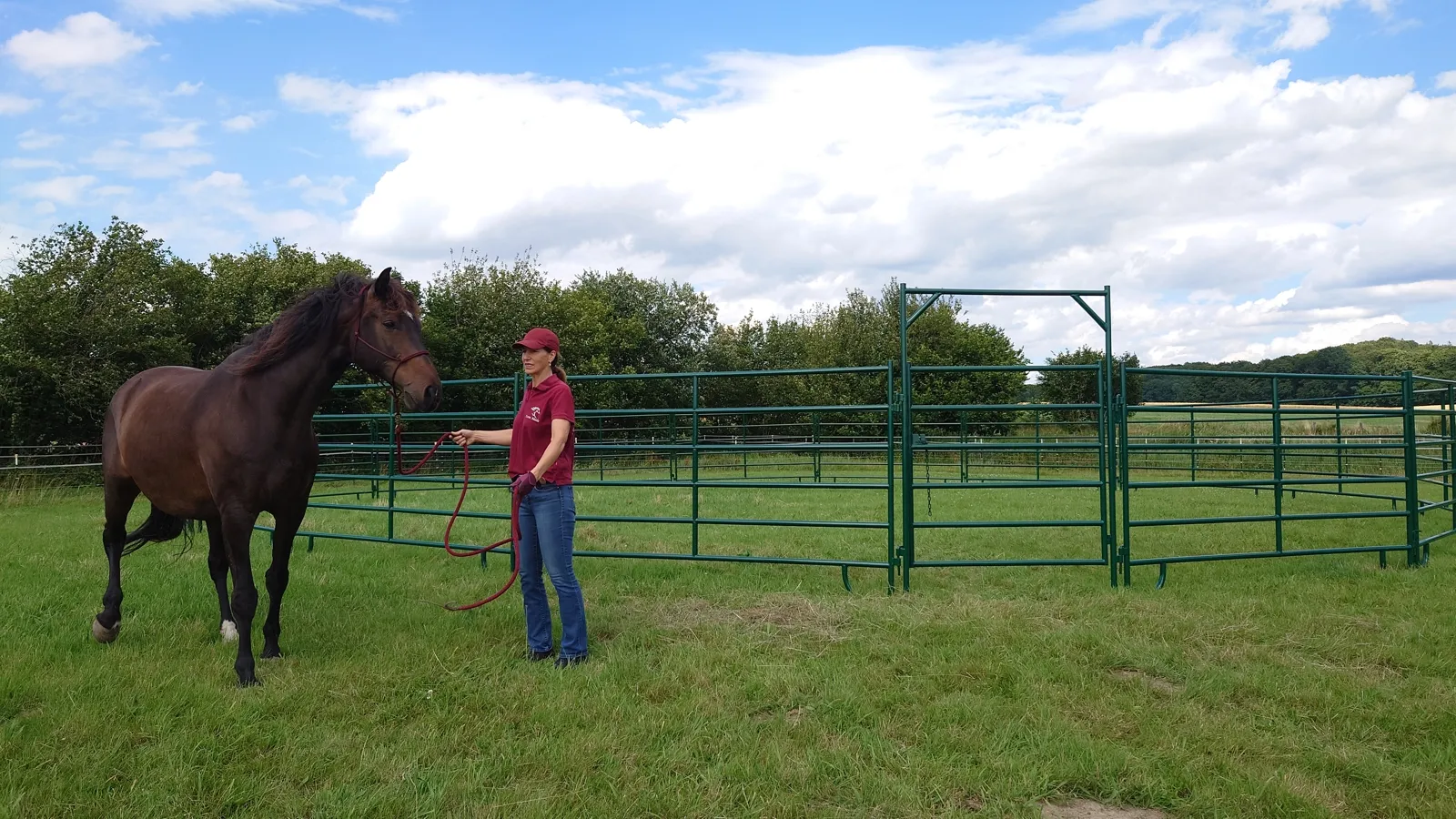 roundpen aus gruenen weidepanels, frau mit pferd am knotenhalfter roundpen aus gruenen weidepanels, frau steht mit pferd am knotenhalfter, das pferd schaut die frau an